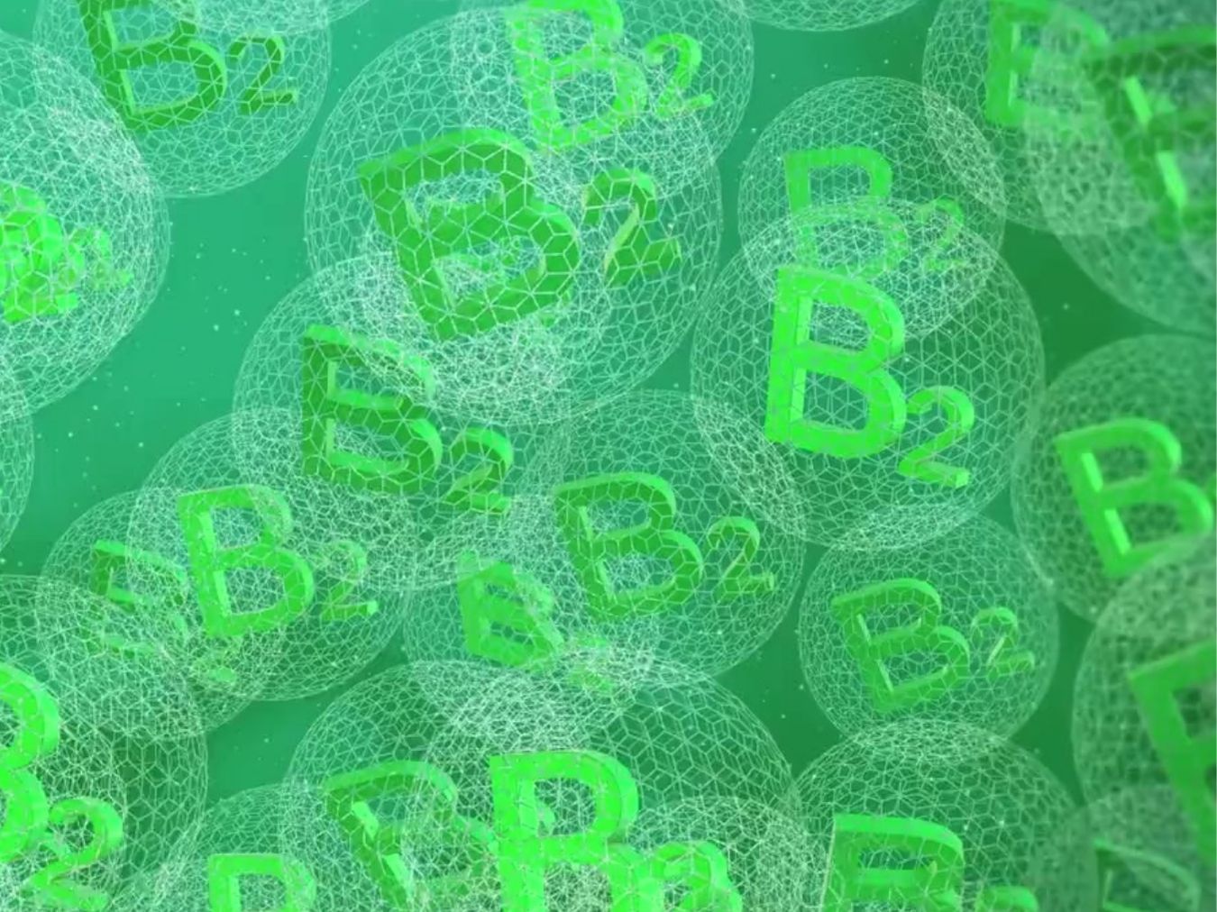 비타민B 하루 권장량