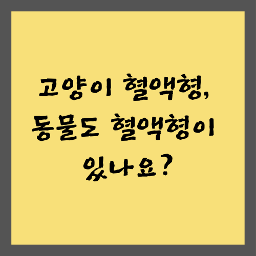 고양이 혈액형