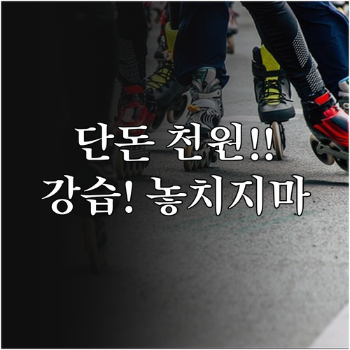 서울광장 스케이트장 1000원 이용 ..