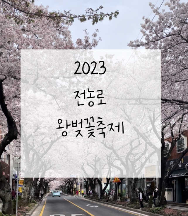 제주_전농로_왕벚꽃_축제