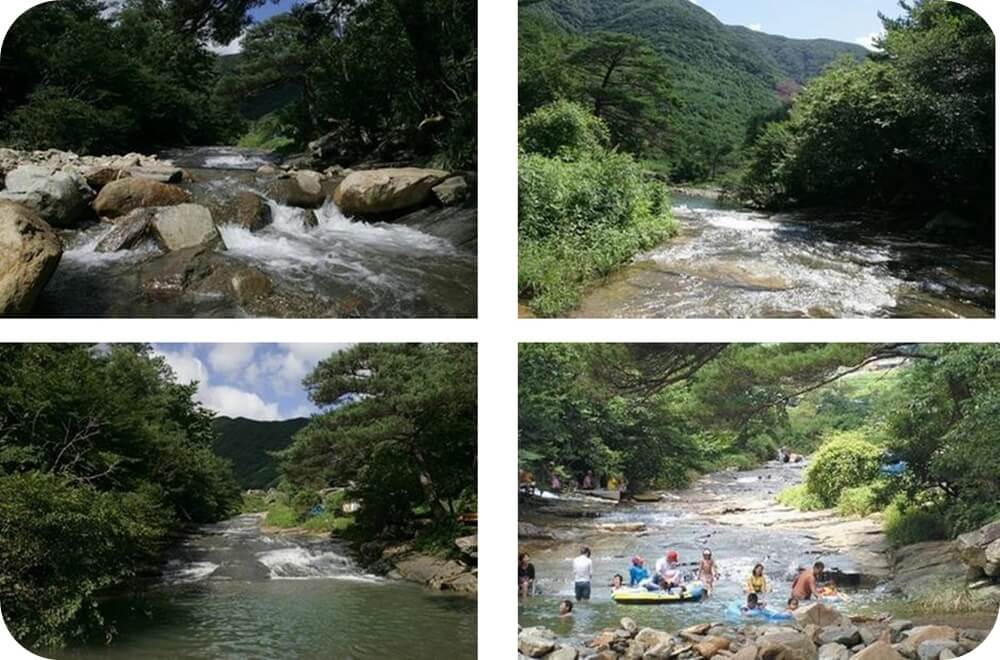 경상남도-경남-함안-별천-계곡-나무-바위-맑은-물-풍경-사진