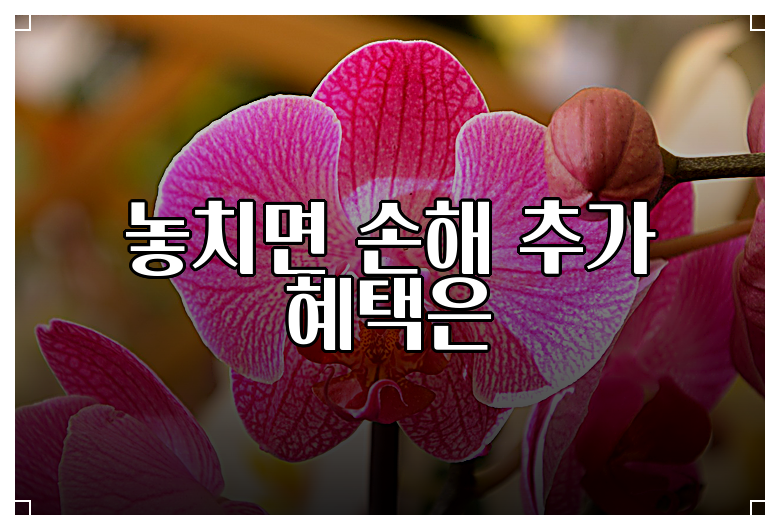 놓치면 손해 추가 혜택은