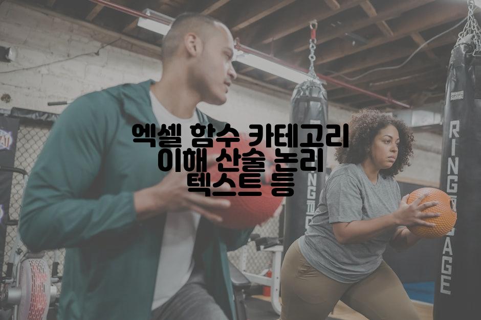 엑셀 함수 카테고리 이해 산술 논리 텍스트 등