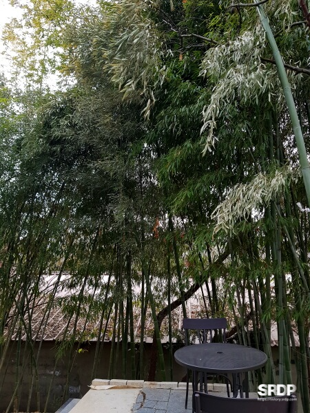 미사장-하남-미사-카페-숲속-카페-캠핑-불멍-카페-하남미사-가볼만한곳