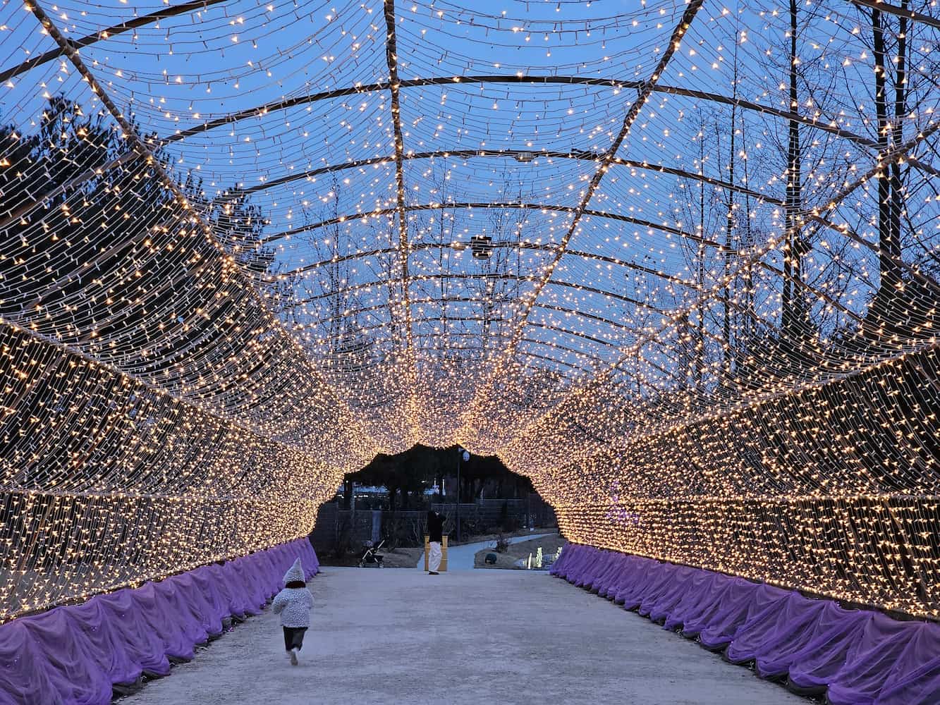 별빛정원우주 36