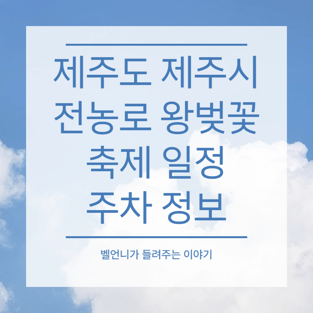 제주 제주시 전농로 왕벚꽃 축제 일정 주차 정보