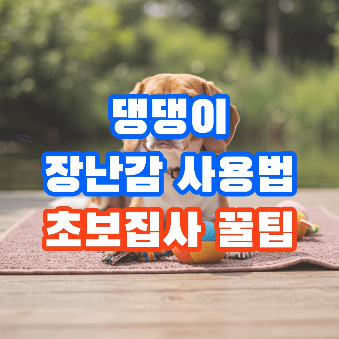 반려견 장난감 사용 팁, 초보 주인이 알아야 할 5가지 꿀팁🐶
