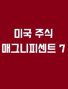 매그니피센트 7 기업에 관한 이미지 입니다.