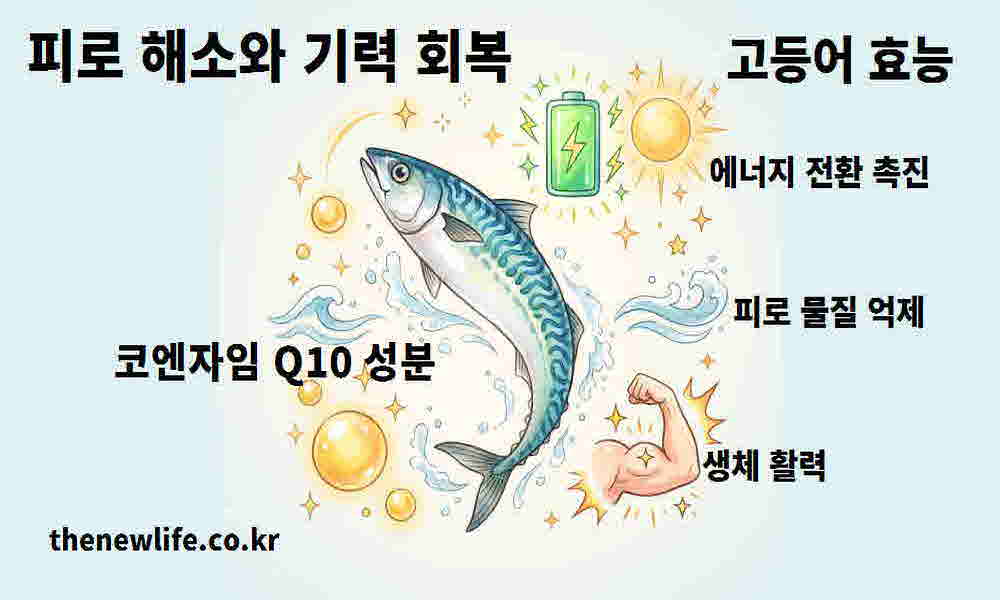 고등어 효능 피로 해소 기력 회복