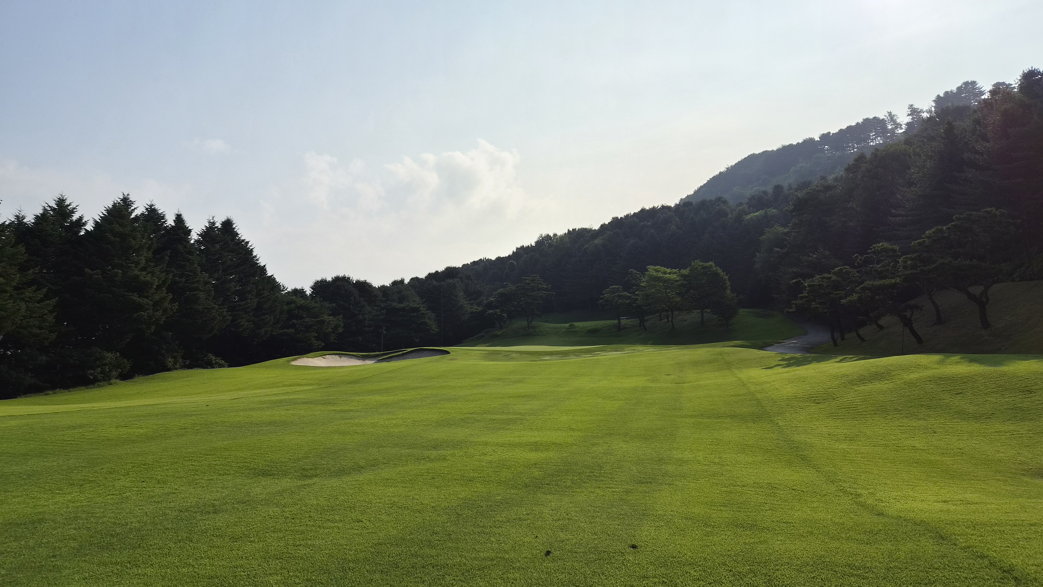 안성cc 코스 사진 및 공략 정보