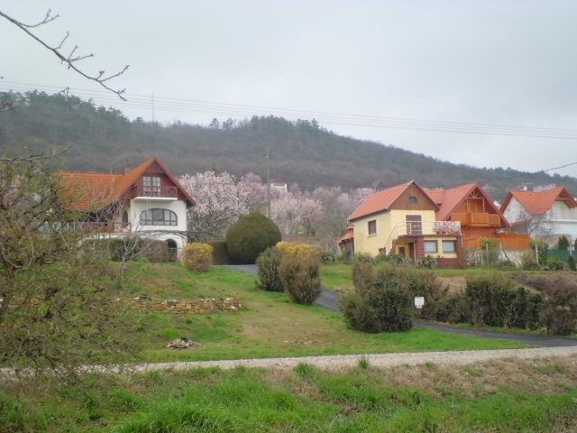 헝가리 케스트헤이 봄날의 뷰