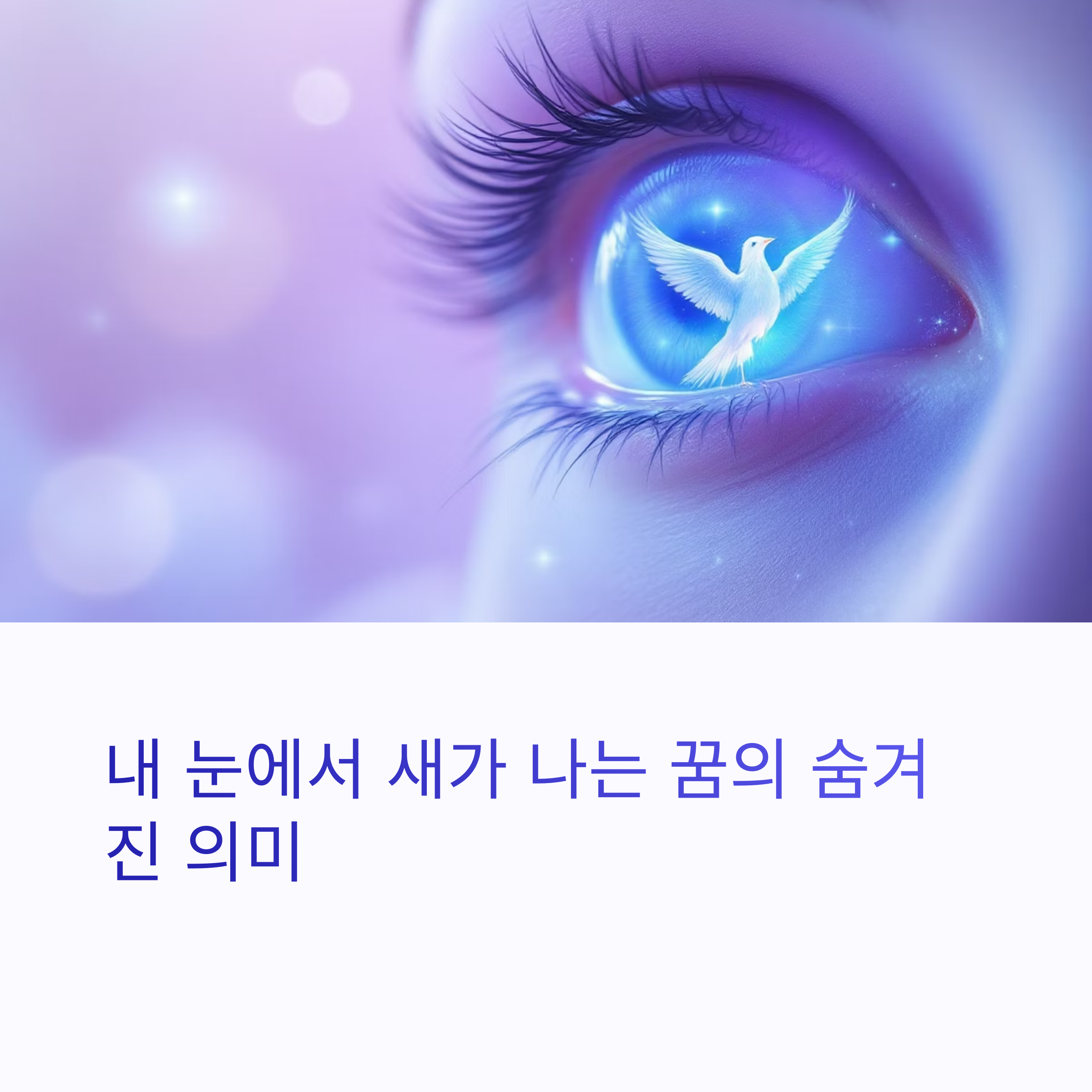 내 눈에서 새가 나는 꿈 썸네일