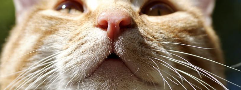 LG 건조기에서 통이랑 세탁물에서 퀴퀴한 냄새가? 원인과 해결방법!