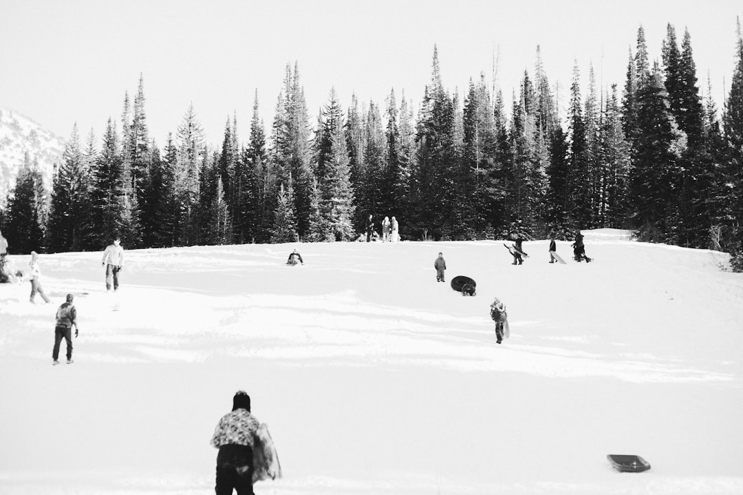 Sledding