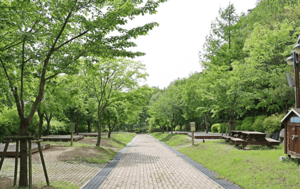 팔공산-도학야영장-전경