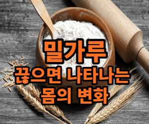 밀가루를 끊으면 나타나는 몸의 변화