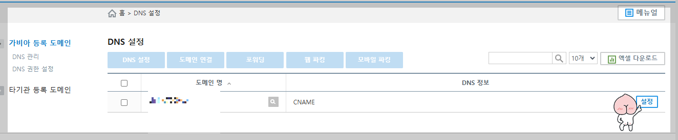 dns 설정
