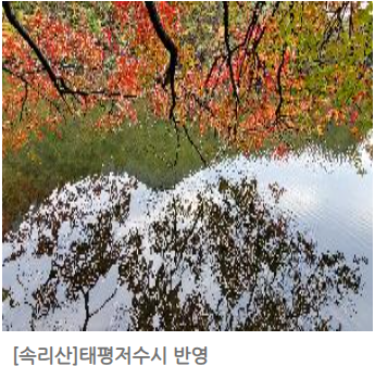 속리산 단풍