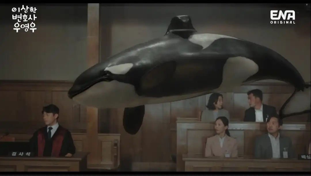 수족관의 범고래