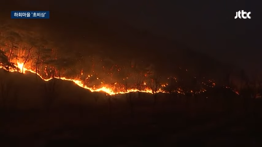 2025 의성 산불 원인과 현재 상황 총정리! (+산불 벌금 과태료 처벌기즌)