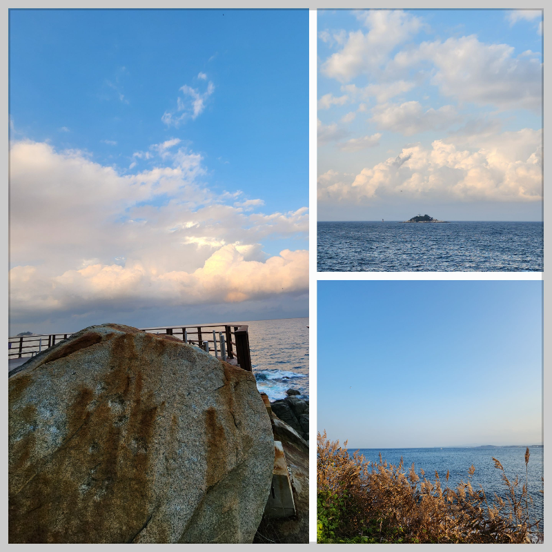 바람이 부는 제주 해변과 바다