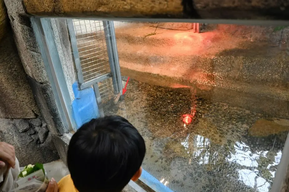 오산 버드파크 후기 사진11