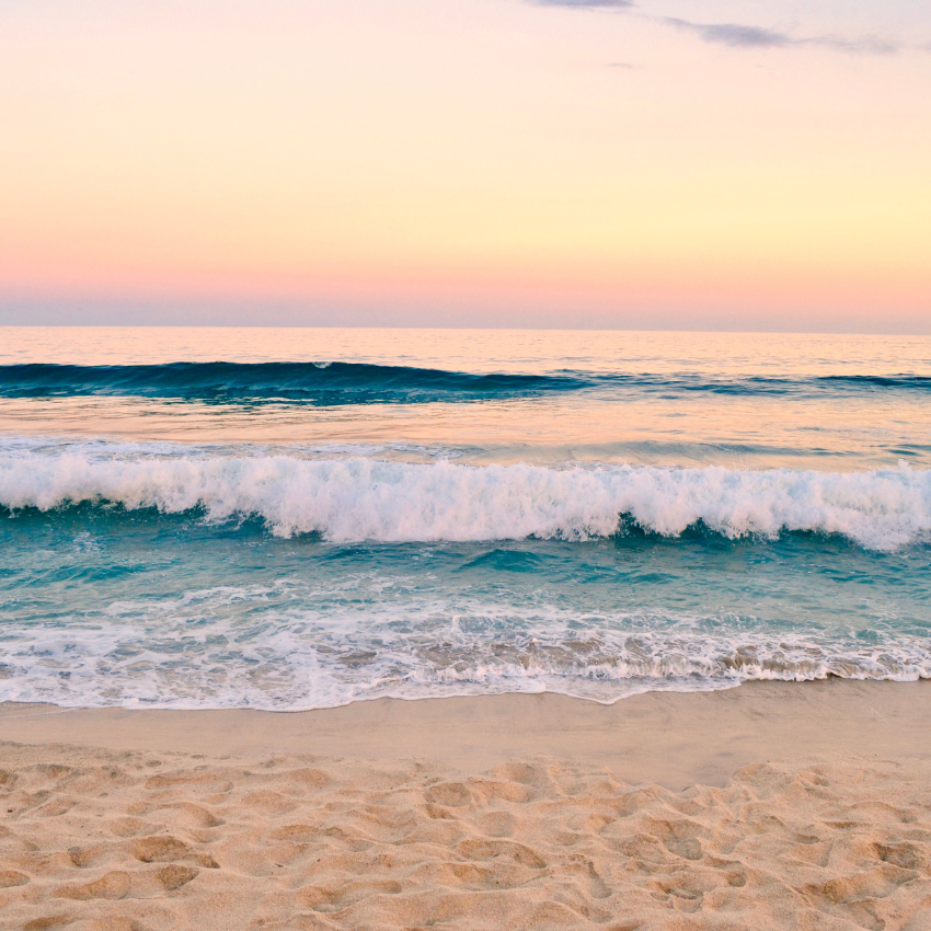 전국 해수욕장 개장일_21