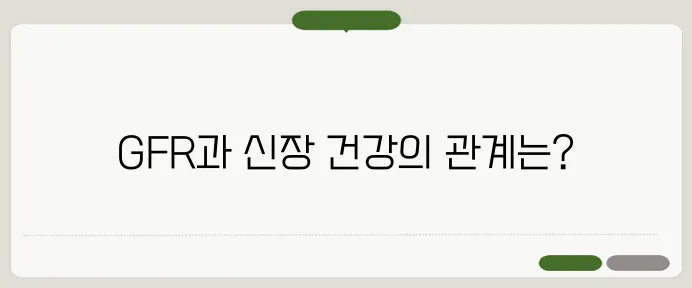 GFR 정상수치 신장 건강 체크하는 필수 지표
