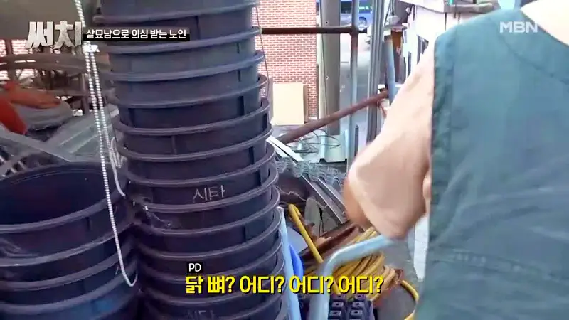 써치 8년간 천여마리 죽인 대전 신탄진 고양이 살해남의 정체