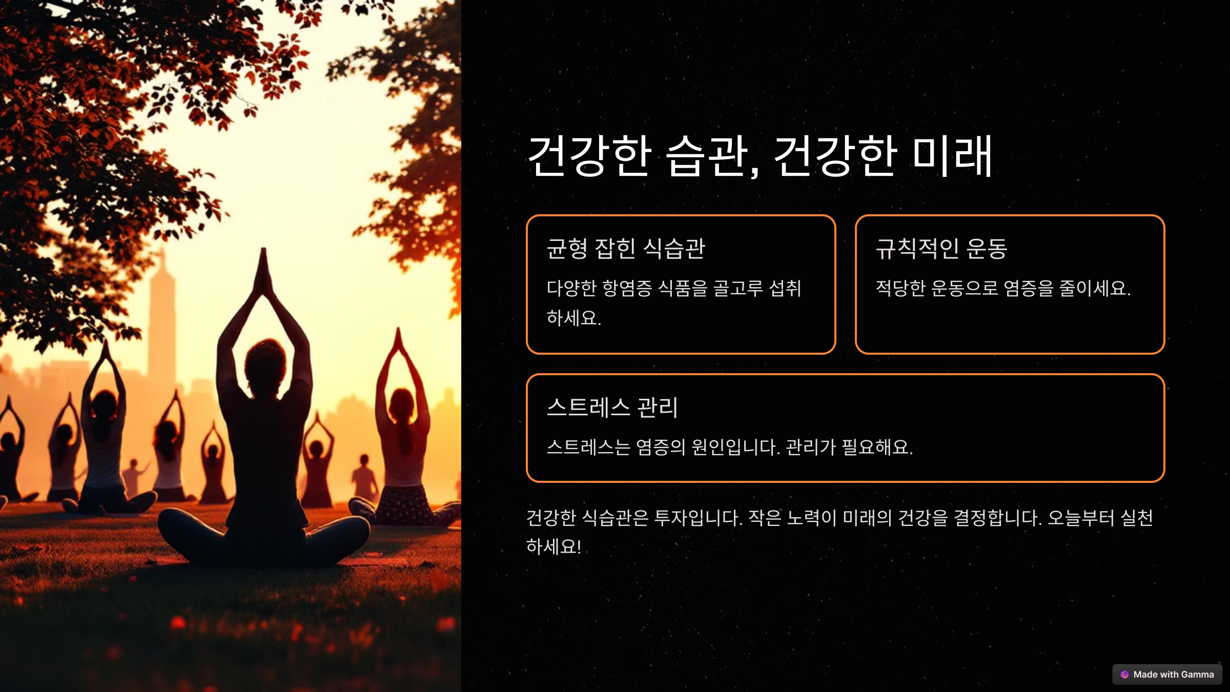 건강 수명을 늘리는 항염증 식품 6가지