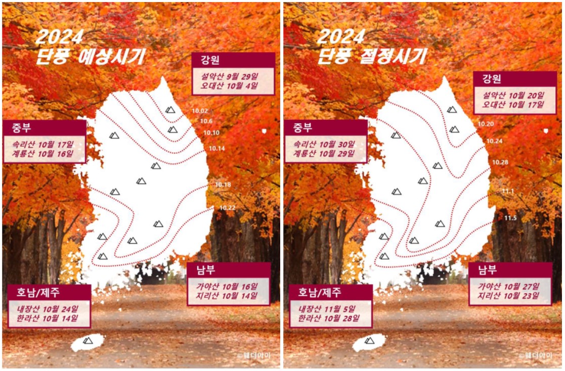 2024 단풍 예상, 절정 시기