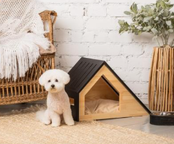 강아지 입양 전 필수 준비물 체크리스트 10가지