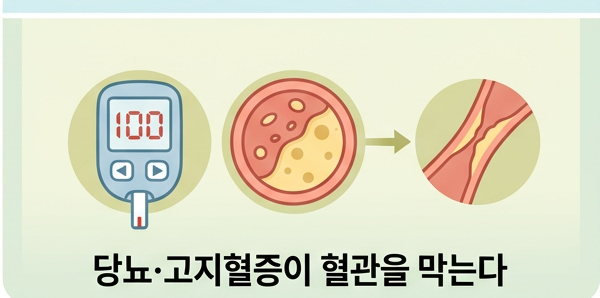 혈당과 콜레스테롤이 혈관을 망가뜨리는 과정
