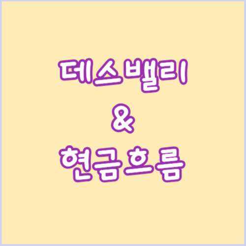 주식공부 데스밸리&현금흐름