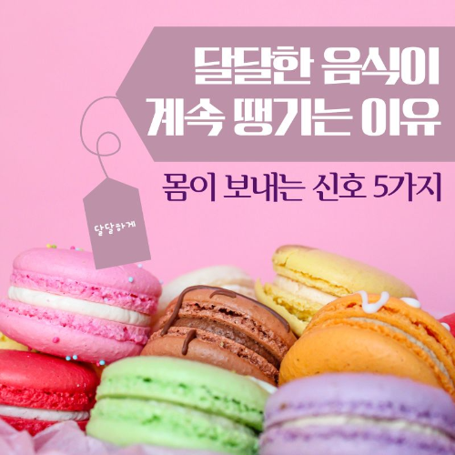 달달한_음식이_계속_땡기는_이유