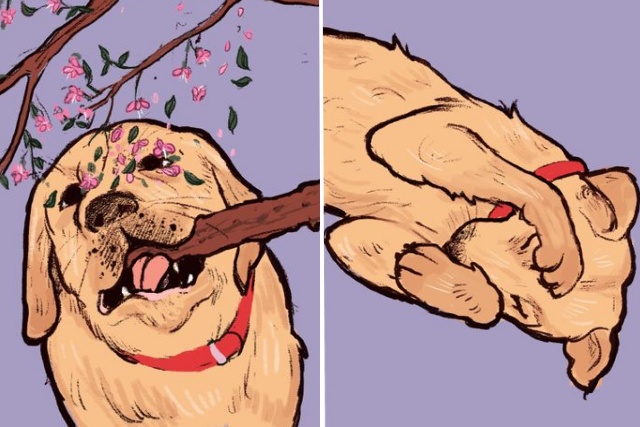 꼬리 물고 빙글빙글 돌기, 반려견 행동의미, 생활 팁줌 매일꿀정보