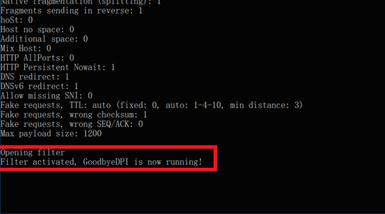 goodbyeDPI 정상 접속 화면