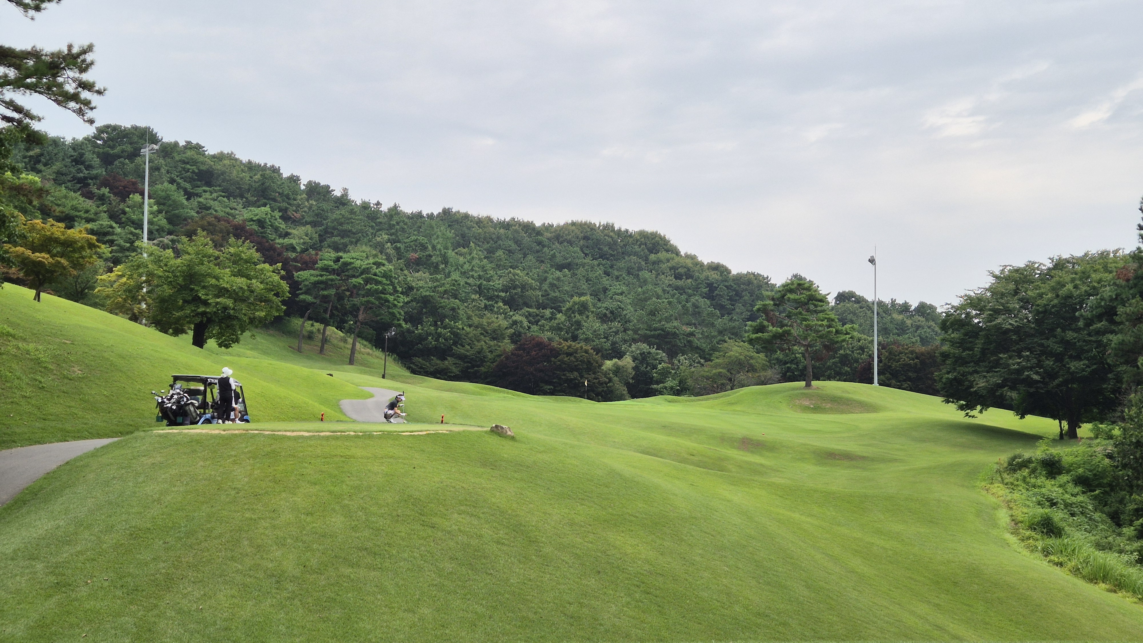 한림용인cc 다이아몬드-사파이어 코스 사진 및 공략 정보