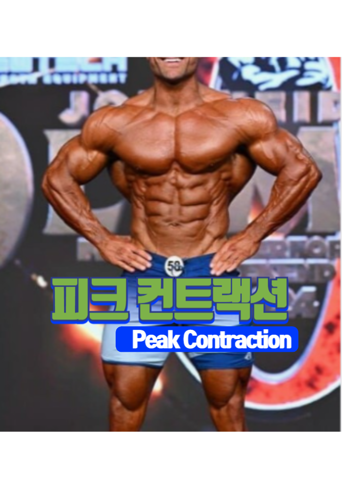 1.피크 컨트랙션(Peak Contraction)