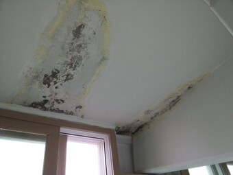 천장에-물이새서-곰팡이가-꺼멓게-올라오는-모습