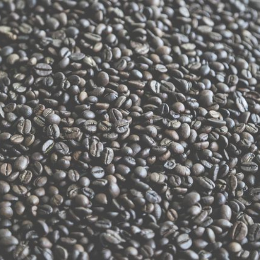 검은콩 이미지 입니다.