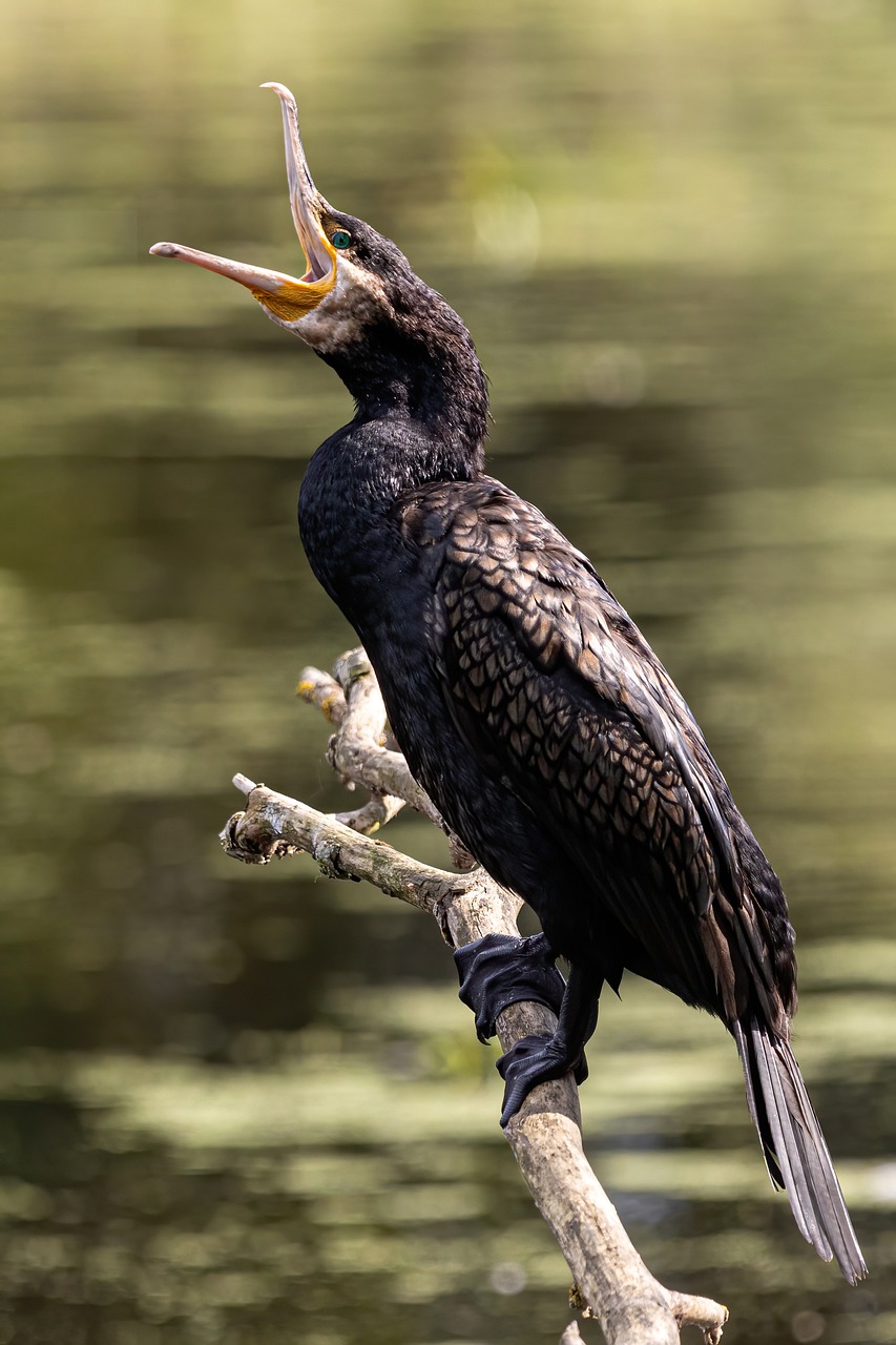 하품이 자주 나오는 이유