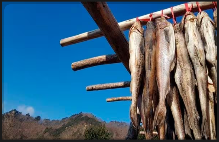 12월 제철 해산물