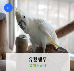 전주동물원