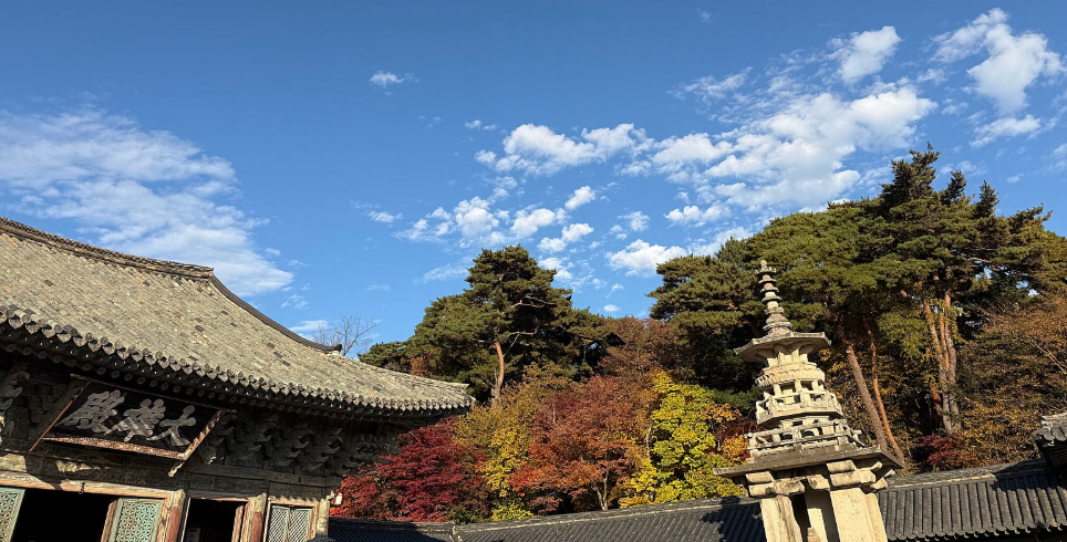 불국사와 석굴암