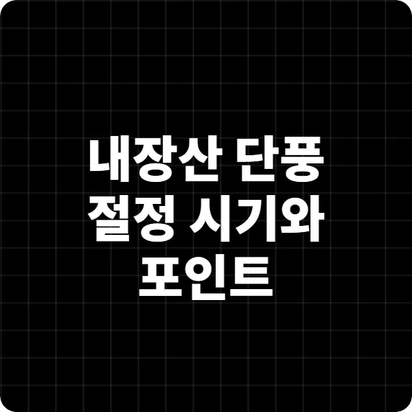 내장산 단풍 절정 시기와 포인트