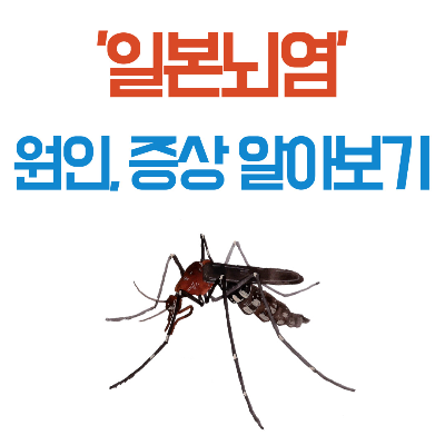 일본뇌염