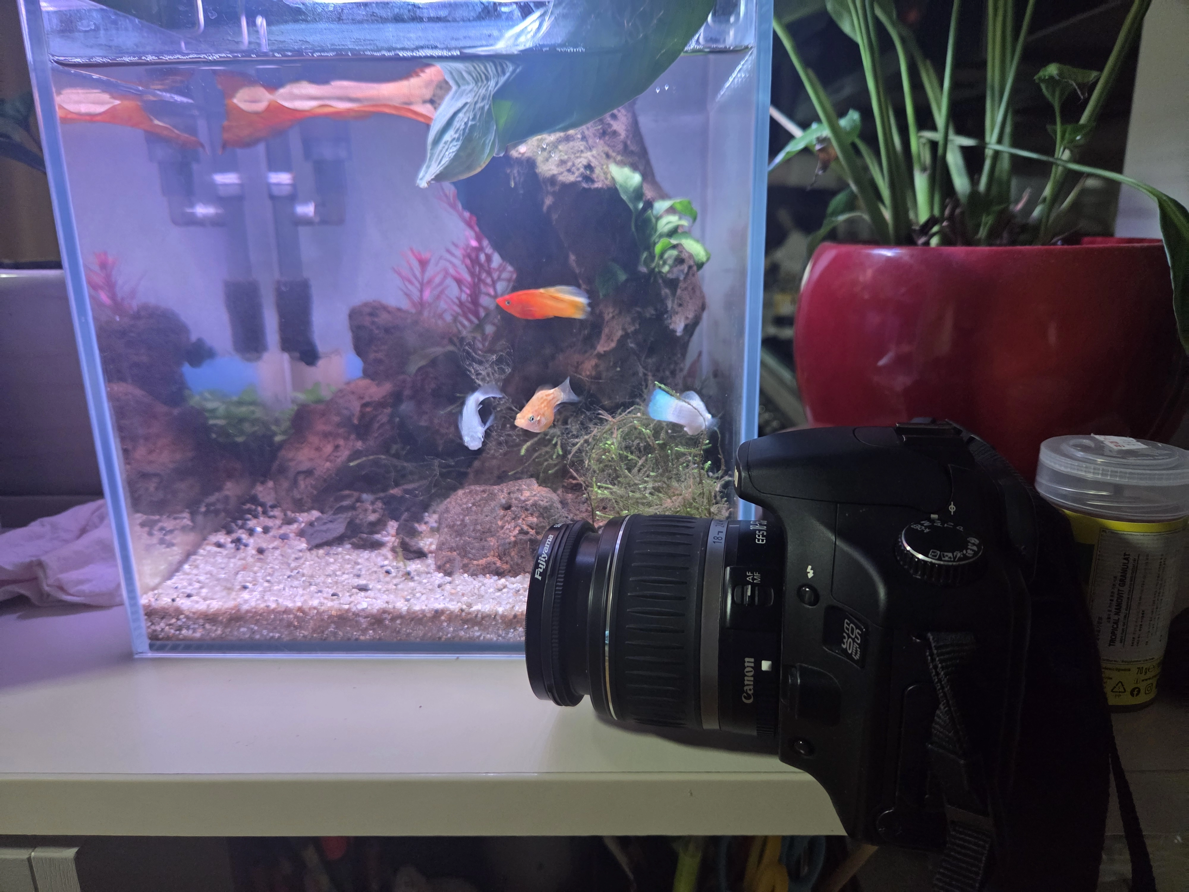 Canon EOS 30D로 사진을 찍고도 남기기로 결정하지 않았던 날