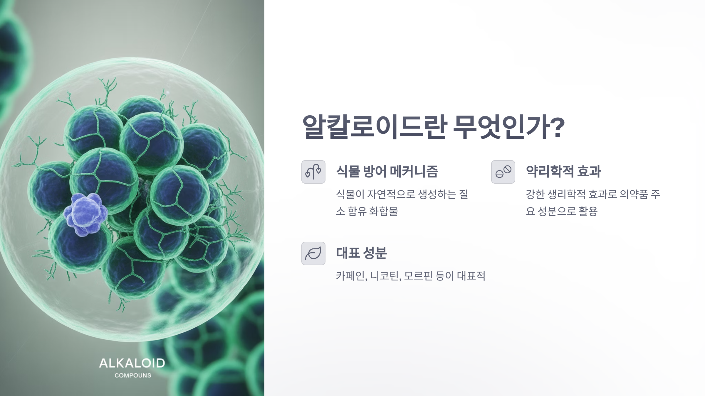 참조-알칼로이드-농산물,-고추와-율무-씨앗-2