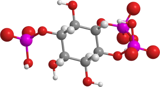 다낭성 난소증후군